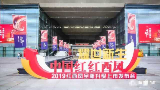 红西凤“耀世新生”,为何展开西凤复兴宏图的中心卷轴