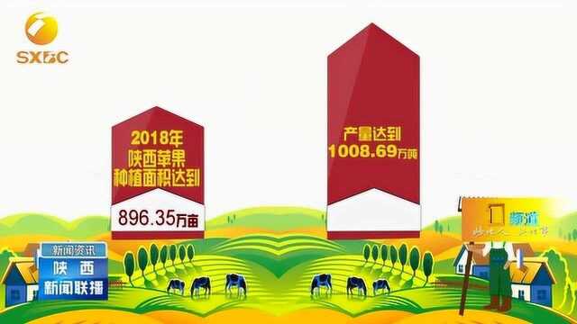 陕西:社会供给更丰富,人民生活更幸福