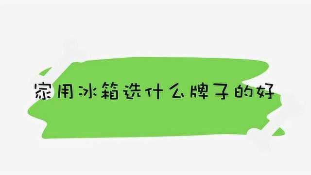 家用冰箱选什么牌子的好