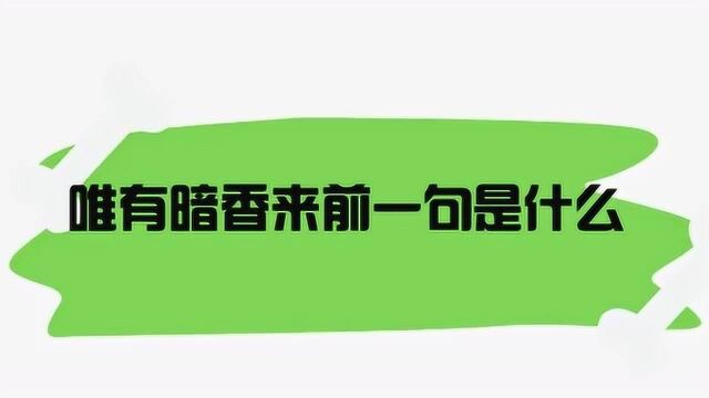 唯有暗香来前一句是什么