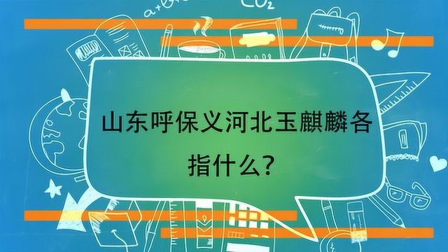 山东呼保义河北玉麒麟各指什么?