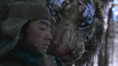 捕虎队猎杀虎王惨被团灭，男孩吓得藏在树后，却不知虎王就在旁边