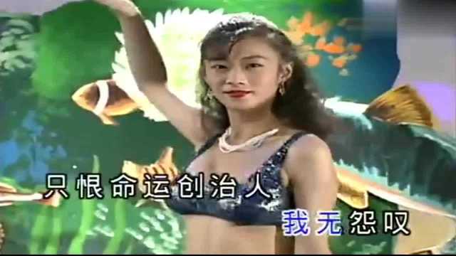 金碟豹:闽南语歌曲,十二大美女《初恋》泳装歌舞!