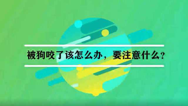 被狗咬了该怎么办,要注意什么?