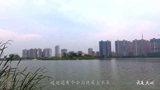 陕西宝鸡眉县平阳湖公园,环境优美好玩,眉县人必来之地太赞了