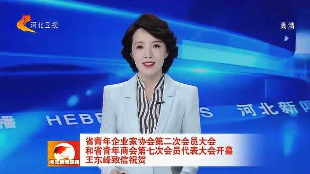 河北省青年企业家协会第二次会员大会开幕 王东峰致信祝贺