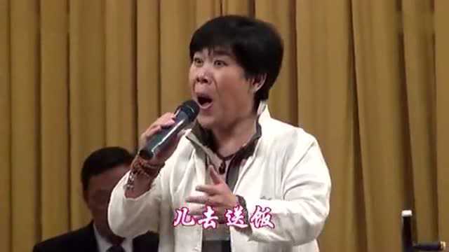 河北省河北梆子传承与发展促进会名家名票演唱会(沧州展演)