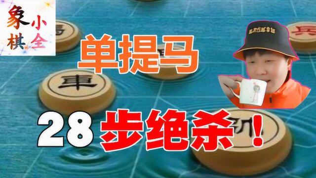 象棋布局讲解,单提马的进攻办法,28步绝杀!