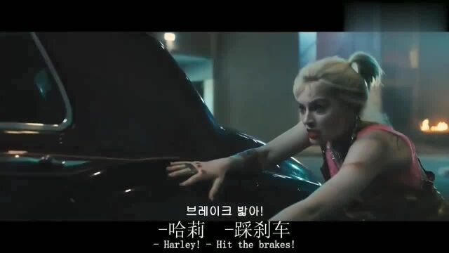 2020年上映由华裔女导演阎羽茜导演美女组合劲爆动作犯罪冒险电影