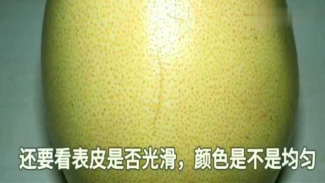 水果店老板教我挑柚子的小窍门,挑的柚子又甜又好吃,快学起来