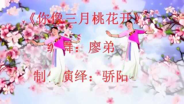 高级!这样唯美的形体舞《你像三月桃花开》真的不多见,画面太美太浪漫