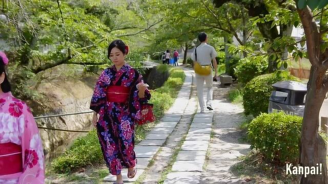 实拍日本京都的人文街景,网友:绿化与街道确实值得大赞