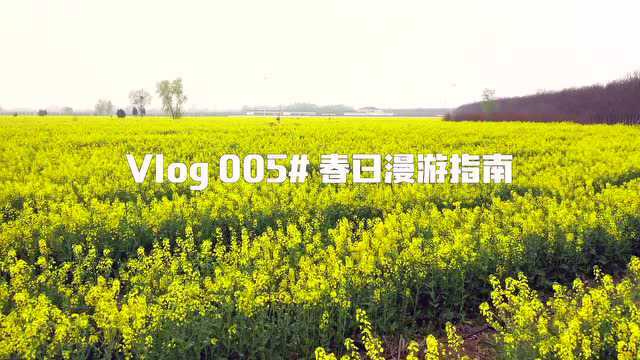 Vlog 005# 春日漫游指南