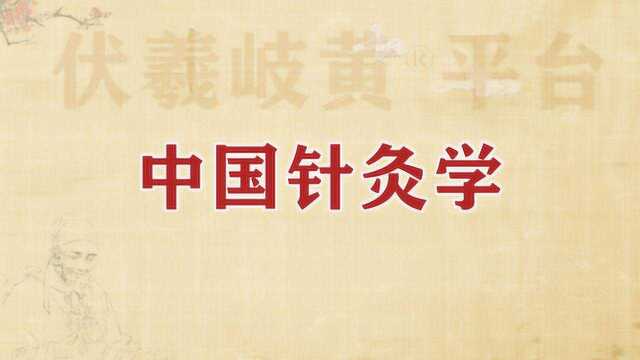 中国针灸学:17气街四海—中医针灸学,学针灸,针灸培训学习公开课