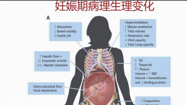 医学患教视频