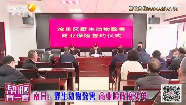 野生动物致害商业险问世,政府全额报销,进一步维护种植户的利益