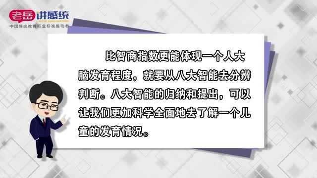 老岳讲感统——感统知识百科:八大智能是更加系统的人体功能