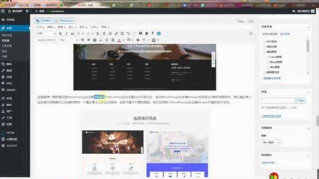 服务器吧丨使用WordPress搭建企业官网  建站教程(4)