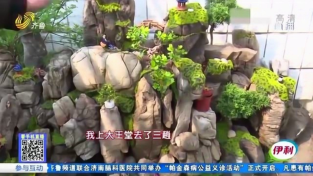 佩服!淘石头垒假山 大哥在家打造小院园林 命名“山水雅舍”