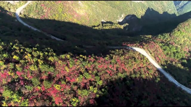 心有宁溪带你领略大美巫溪山水←