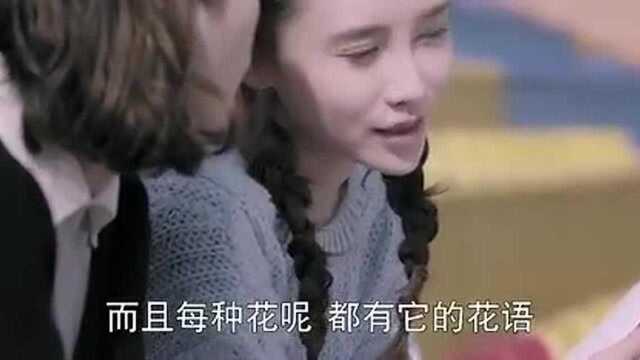 漂洋过海:心机女看到总裁的胸针,瞬间不淡定了,竟是这含义