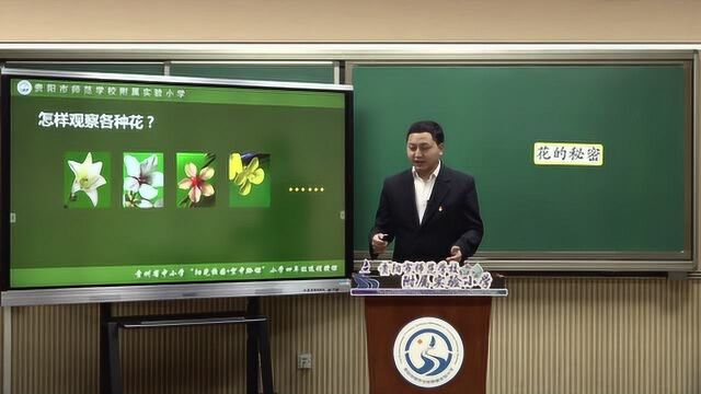 0414四年级科学003