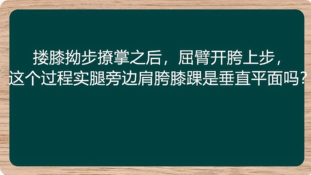 搂膝拗步撩掌之后,屈臂开胯上步,这个过程实腿边肩胯膝踝,是垂直平面吗?