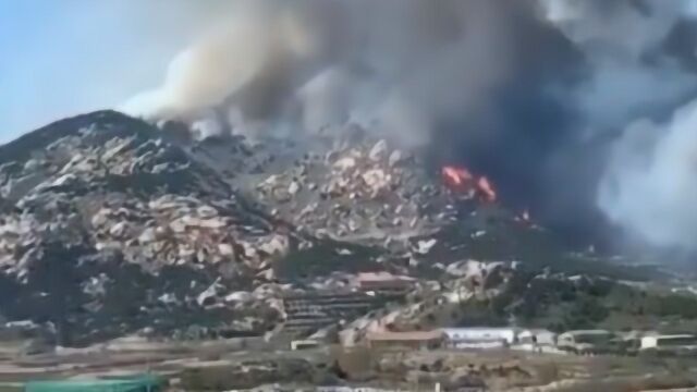 青岛小珠山景区突发大火,现场火势凶猛,浓烟蔓延到看不清太阳