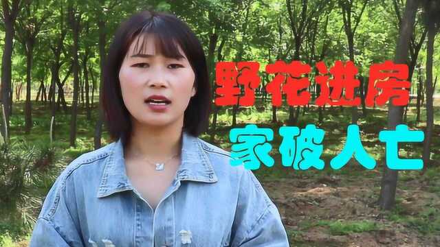 农村俗语“野花进房,家破人亡”,野花指的是什么?今天涨知识了