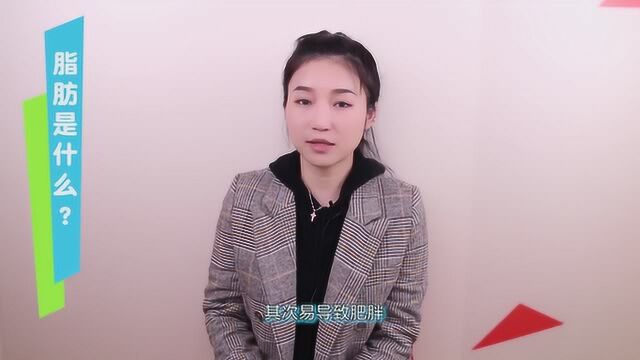 脂肪是什么?