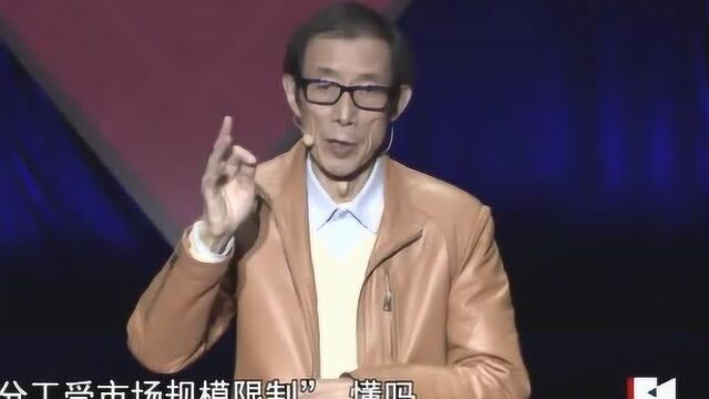 陈平教授:经济规模不是越大越好,告诉你观点,自己思考