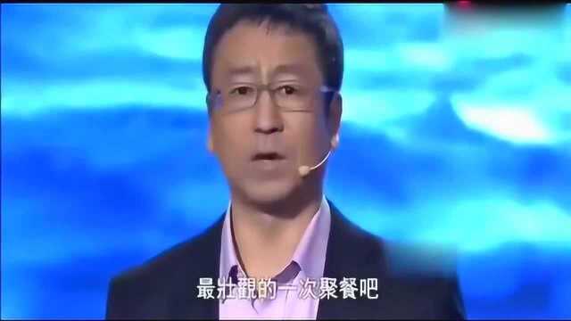 白岩松演讲:既有眼前的饥饿,还有诗和远方,简直获益匪浅