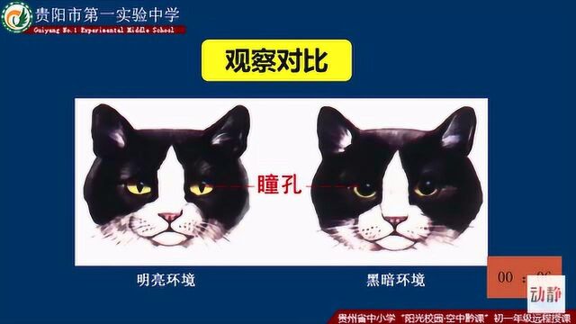 0430004初一年级生物人体对外界环境的感知(第1课时)