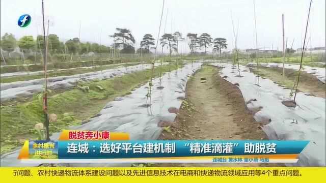 连城:选好平台建机制 “精准滴灌”助力脱贫致富路!