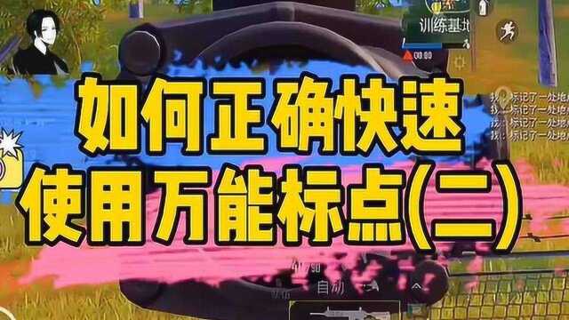 白菜游戏解说:游戏中万能标点你真的会用吗?万能标点用法全面科普2