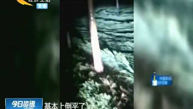 河北多地冰雹突袭,大如鸡蛋,汽车玻璃被砸碎!