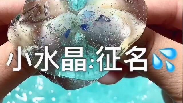 璐璐手作:给小水晶征个名?