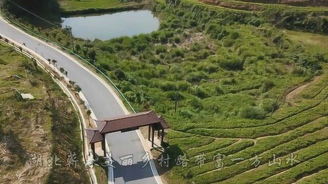 湖北蕲春“四好农村公路”带富一方山水