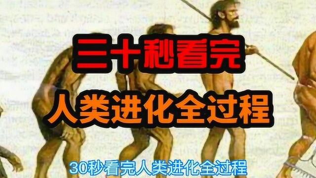 三十秒看完人类进化全过程