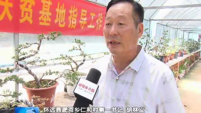 决战决胜脱贫攻坚 发展绿色生态产业 带动贫困户增收