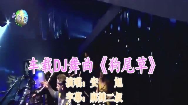 车载DJ舞曲《狗尾草 》安旭演唱高音质DJ版经典歌曲