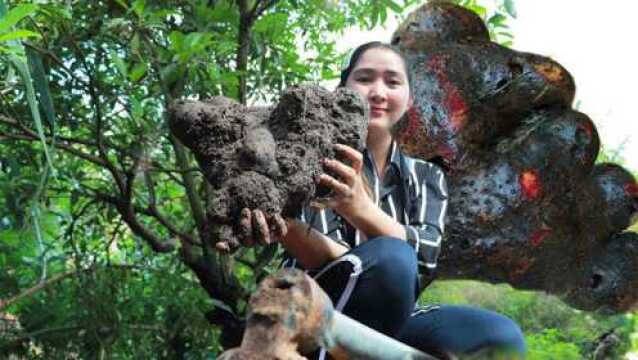 今天挖了个超大的紫山药,来看看我是怎么做的吧