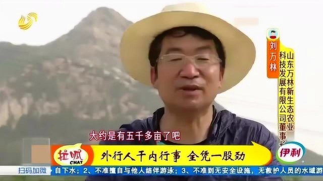 泰安:荒坡变果园 村民纷纷来打工 不管干多少一天40块