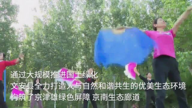 河北文安:构建京津雄周边生态绿色屏障