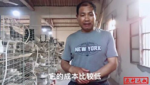 车行到底赚不赚钱