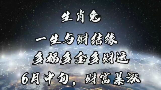 生肖兔:一生与财结缘,多福多金多财运,6月中旬,财富暴涨