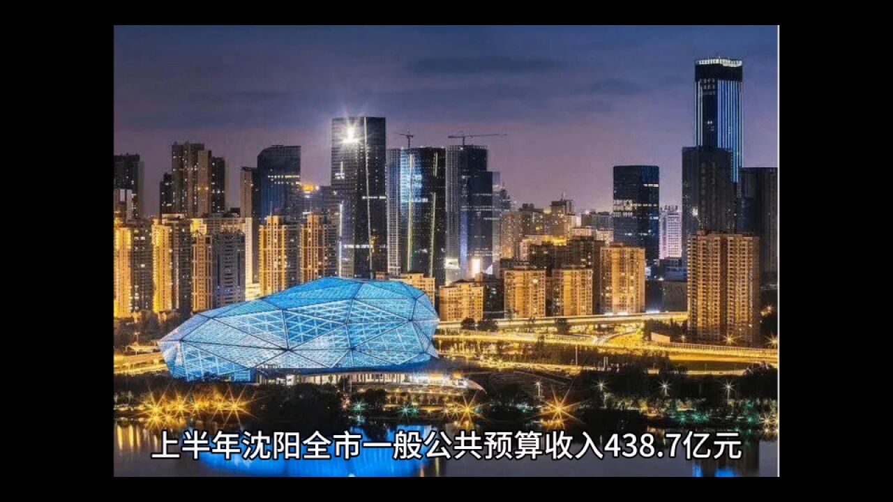 2023年上半年沈阳各地财政收入,铁西总量居首,沈河增速第一