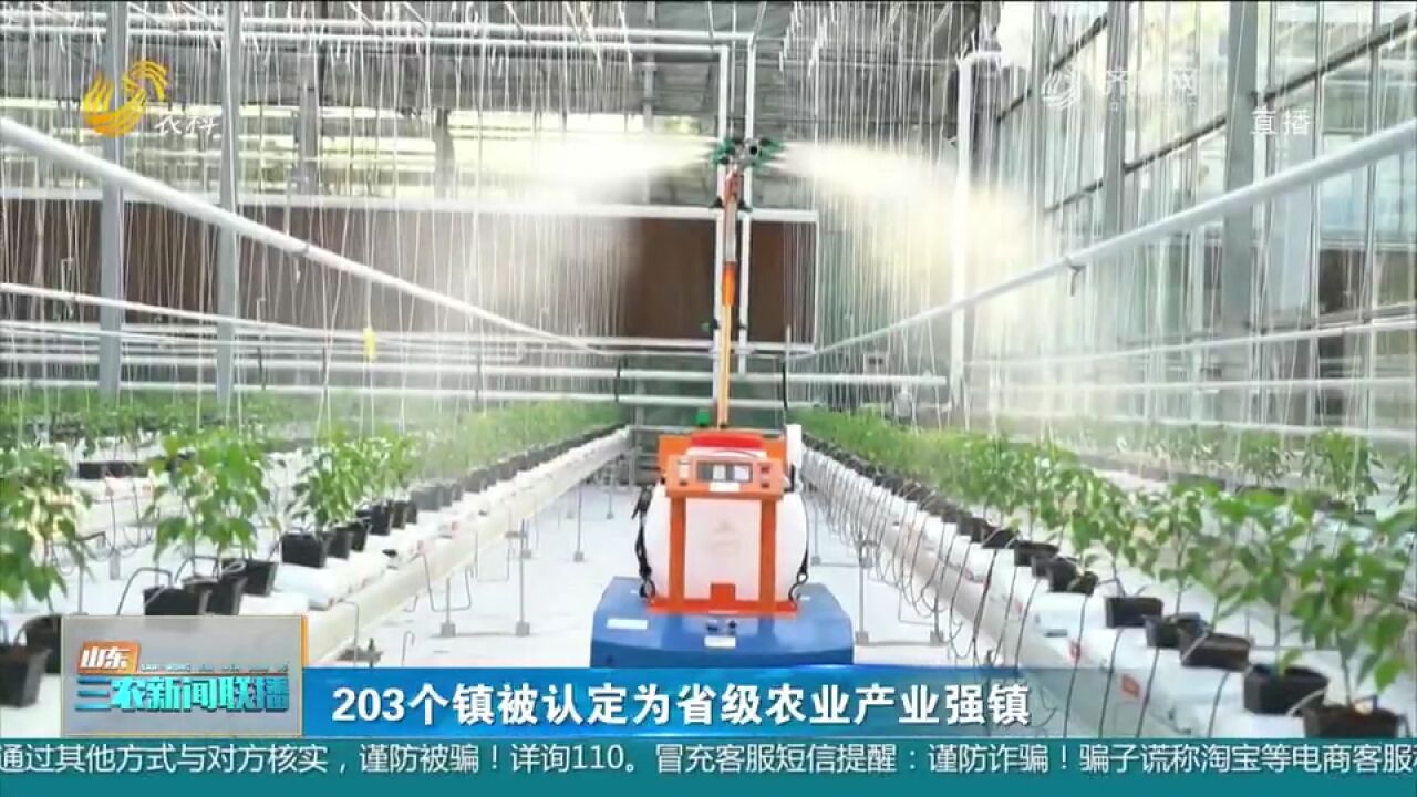 关注!济南市长清区双泉镇等203个镇被认定为省级农业产业强镇