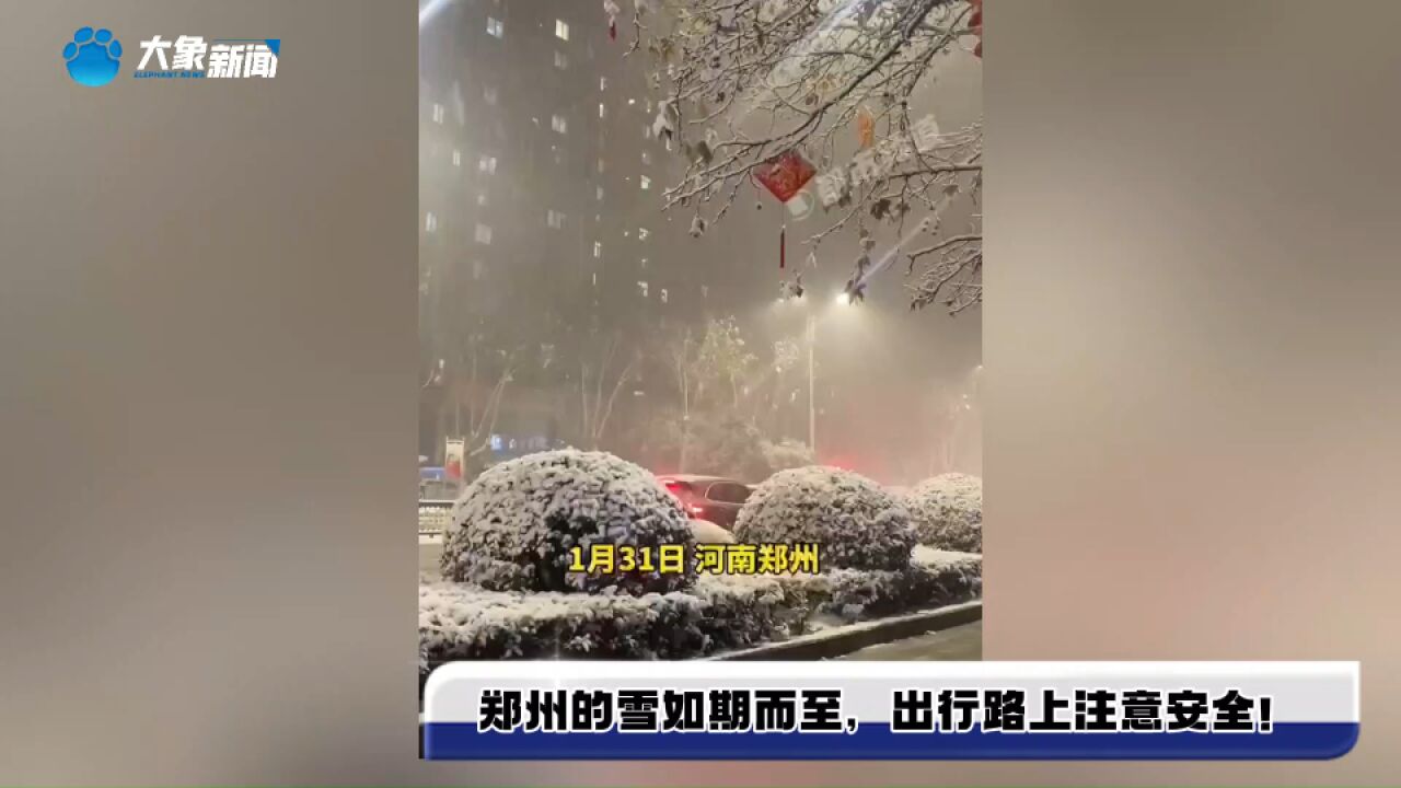 郑州的雪如期而至,出行路上注意安全!