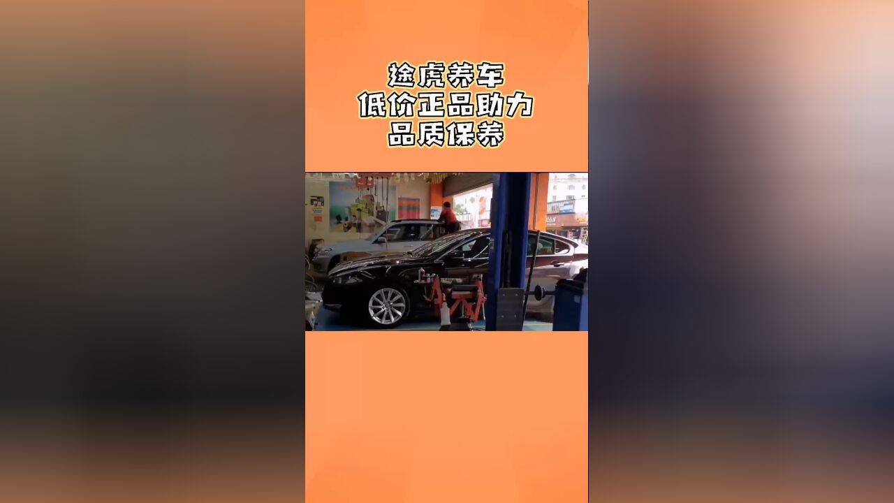 养车去哪里合适?